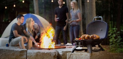 Koji roštilj izabrati? Razlike izmedju plinskog, električnog i roštilja na ugalj