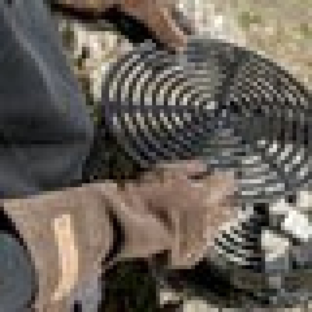 Petromax Bbq-Gloves-Xl / Masivne Zaštitne Rukavice Za Roštilj I Logorsku Vatru, Izrađene Od Robusne Brušene Kože