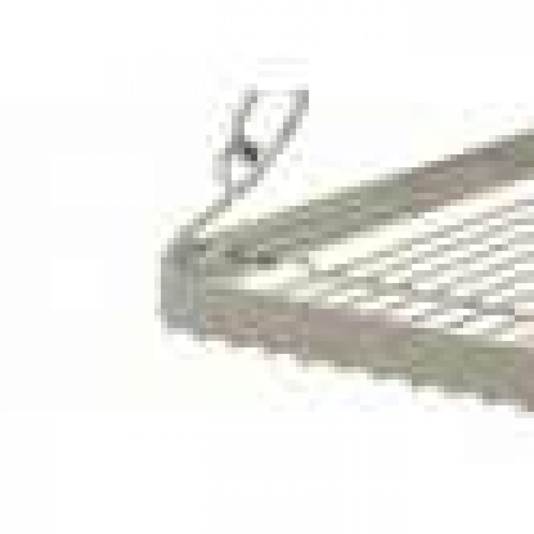 Petromax Fire Bridge Frk1 – Prenosiva Kuhinja Na Otvorenom