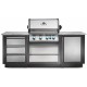Oasis™ Ormar Sa Tri Fioke Napoleon   Im-3Dc-Cn